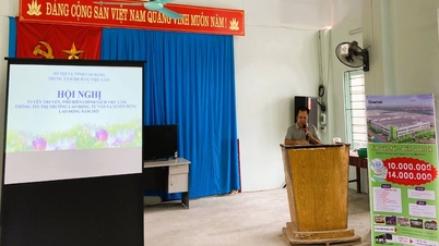 Conferência sobre consultoria, introdução de empregos e formação profissional em 2025 em Cao Bang