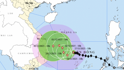 A Koto vihar fokozatosan gyengült, amikor november 28-án délután hideg levegővel találkozott.