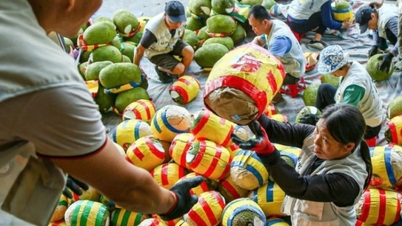 চীনে তাজা কাঁঠাল রপ্তানির প্রোটোকল স্বাক্ষর