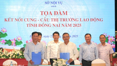 현대 산업 발전의 요구에 부응하는 지속 가능한 노동 생태계 구축