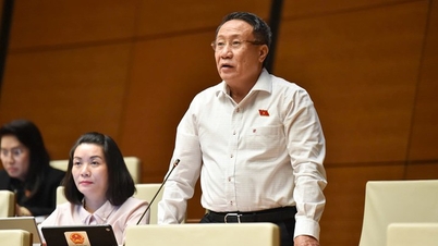 להציע לבטל את התמריצים ולהחזיר כפול מסכום התמריץ אם המשקיע לא יעמוד בהתחייבות.