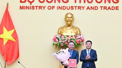 मंत्री गुयेन हांग दीएन ने कार्मिक कार्य से संबंधित निर्णय तीन इकाइयों को सौंपे।