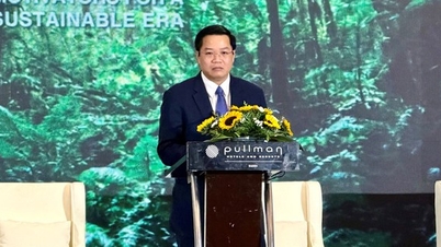 ການເງິນດິຈິຕອລ ແລະສີຂຽວເປີດພື້ນທີ່ພັດທະນາໃໝ່ໃຫ້ແກ່ທຸລະກິດ