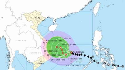 दिसंबर की शुरुआत में दा नांग से लाम डोंग तक भारी बारिश होने की संभावना है।