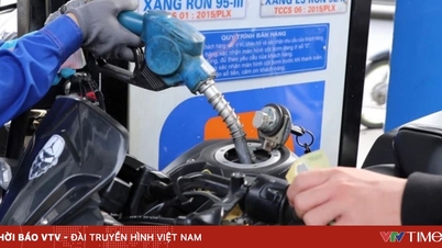 Die Benzin- und Ölpreise sind stark gefallen, bei einigen Sorten sind sie um mehr als 1.000 VND/Liter gesunken.