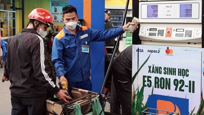 Los precios de la gasolina y el diésel disminuyeron simultáneamente desde la tarde del 27 de noviembre.