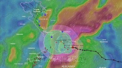 15호 태풍 영향으로 동해는 매우 거칠다