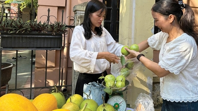 Podwójna siła napędowa gospodarki zbiorowej