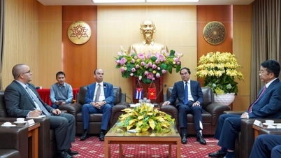 Az egészségügy, az oktatás, a mezőgazdaság és a kultúra terén Kubával való együttműködés előmozdítása