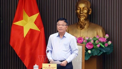 تمرکز و عزم راسخ بر تخصیص سرمایه‌های عمومی