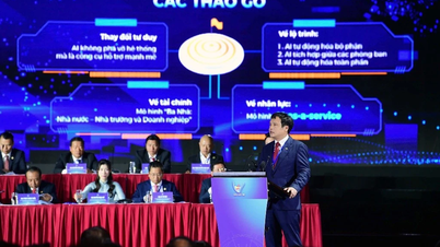 کارآفرینان جوان ویتنامی به لطف نوآوری و هوش مصنوعی به اوج‌های جدیدی دست می‌یابند