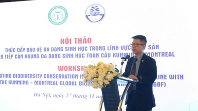 Erhaltung mariner Ökosysteme und nachhaltige Nutzung aquatischer Ressourcen