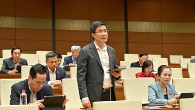 एआई परीक्षण में भाग लेने वाले संगठनों और व्यक्तियों के लिए सहायता तंत्र जोड़ने का प्रस्ताव