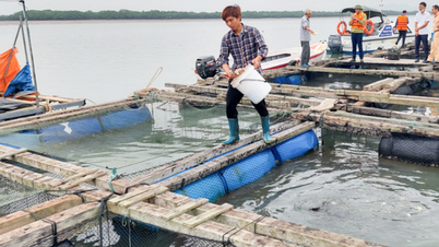 Quang Ninh: Věda a technologie přinášejí průlomy v zelené výrobě a udržitelném snižování chudoby