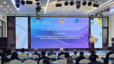 베트남의 인구 고령화 맥락 속의 노인들