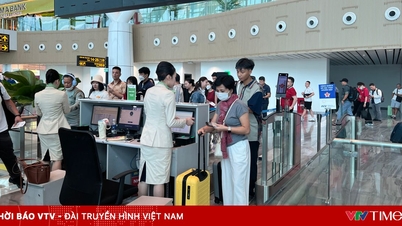 Vé máy bay Tết 2026: Nhiều chặng bay về miền Trung đã hết chỗ cao điểm