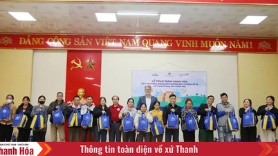 Soutien aux habitants de la commune de Thanh Phong touchés par la tempête n° 10