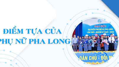 Pha Long Kadın Desteği