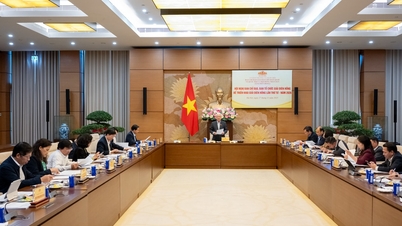 জাতীয় পরিষদের স্থায়ী ভাইস চেয়ারম্যান ডো ভ্যান চিয়েন ডিয়েন হং পুরস্কারের পরিচালনা কমিটি এবং আয়োজক কমিটির সভায় সভাপতিত্ব করেন।