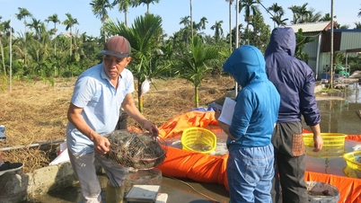 Высокоэффективная аквакультурная зона в Нам Чиеу