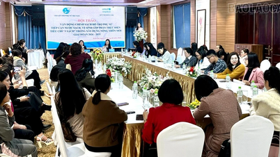 Atelier sur le plaidoyer politique pour soutenir l'accès des femmes à l'eau potable et à l'assainissement