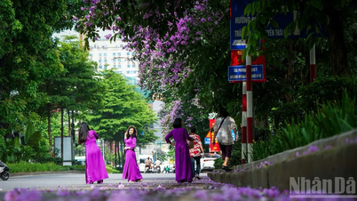 Vietnam er blant de 5 beste landene for soloreise