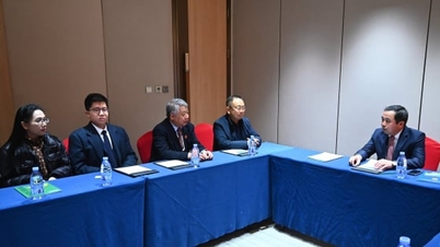 ایجاد شرایط برای سرمایه‌گذاری شرکت‌های کشاورزی و محیط زیستی چینی در ویتنام