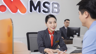 जब वीएनपीटी ने अपनी सारी पूंजी बेच दी तो एमएसबी बैंक के शेयर अप्रत्याशित रूप से उच्चतम स्तर पर पहुंच गए