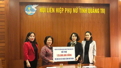 ارائه حمایت به یتیمان تحت برنامه "مادران تعمیدی ​​عشق را به هم پیوند می‌دهند"