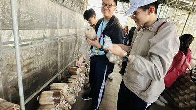 با توجه به شرایط جوی نامساعد، اداره آموزش و پرورش شهر هوشی مین هشدار صادر کرد.