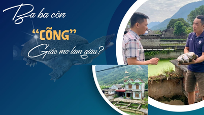 Stále si „nesete“ sen o zbohatnutí?