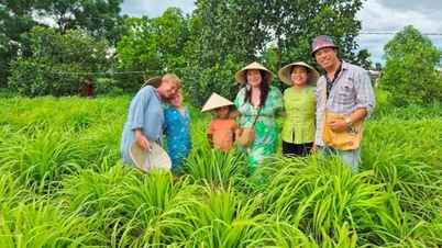 Người trẻ ở Đà Nẵng với khởi nghiệp xanh