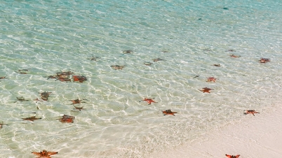 Phu Quoc: 3–4 dny, 15 skvělých destinací a zážitků