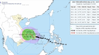 Tempestade nº 15, rajadas de vento de nível 15, deslocando-se lentamente para oeste-oeste...
