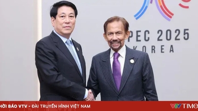 Brunei Sultanlığı Sultanı Vietnam'a resmi ziyarette bulunacak