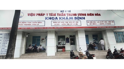 Посилити роботу з судово-психіатричної експертизи, щоб запобігти повторенню негативних інцидентів.