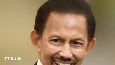 Султан Брунея-Даруссалама Хаджи Хассанал посетит Вьетнам с государственным визитом