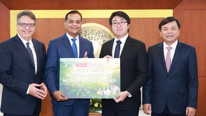 ການ​ຮ່ວມ​ມື​ຊຸກຍູ້​ການ​ເຕີບ​ໂຕ​ແບບ​ຍືນ​ຍົງ ​ແລະ ບັນລຸ​ເປົ້າ​ໝາຍ Net Zero ຂອງ​ຫວຽດນາມ