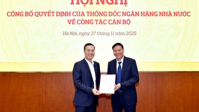 Benoeming van de heer Do Trong Toan tot adjunct-directeur van de afdeling Organisatie en Personeel van de Staatsbank van Vietnam