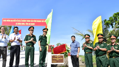 第9軍管区はドンフン村（アンザン省）で多くの交通工事と住宅を引き渡した。