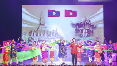 O Vietnã sempre se orgulhou de ter um amigo leal e constante como o Laos.