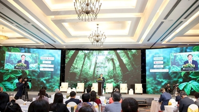 يساعد التحول الأخضر على إعادة هيكلة استراتيجيات تطوير الأعمال