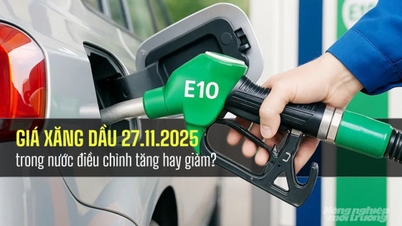 Внутренние цены на бензин 27 ноября 2025 года скорректированы в сторону понижения.