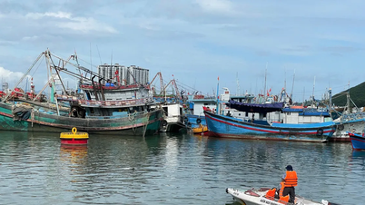 คานห์ฮวาประกาศห้ามเดินเรือเพื่อรับมือกับพายุลูกที่ 15