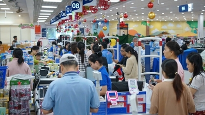 Cooperativa Saigon lansează un pachet de subvenții și vinde produse fără profit