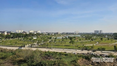 Thanh Hoa hat 10 Arbeitsgruppen zur Bereinigung der Landdaten eingerichtet.