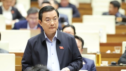 Делегати стурбовані забороною використання всередині країни, але водночас виробництвом електронних сигарет на експорт.