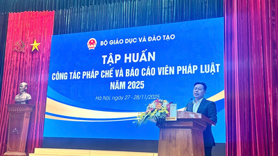 ২০২৫ সালে শিক্ষা ও প্রশিক্ষণ মন্ত্রণালয় আইনি কাজ এবং আইনি সাংবাদিকদের প্রশিক্ষণ দেবে