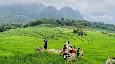 Туризм в Тханьхоа в ноябре 2025 года продемонстрировал положительную динамику, общий доход достиг 825 млрд донгов.