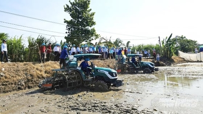 Світовий банк хоче розширити площі вирощування рису для зменшення викидів у дельті Меконгу